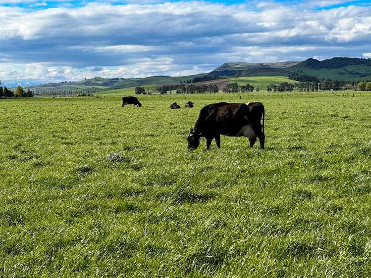 222 Boggyburn Road Winton Surrounds_2