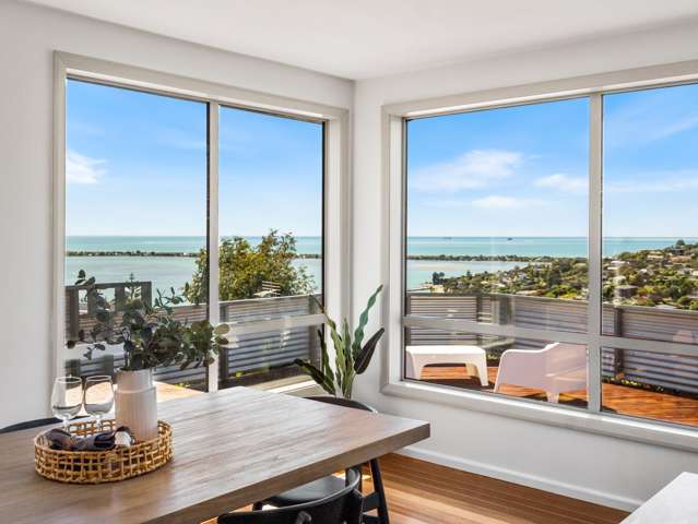 63 Major Hornbrook Road Mount Pleasant_4