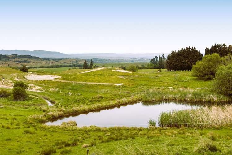 1457 Chatto Creek - Springvale Road Chatto Creek_16