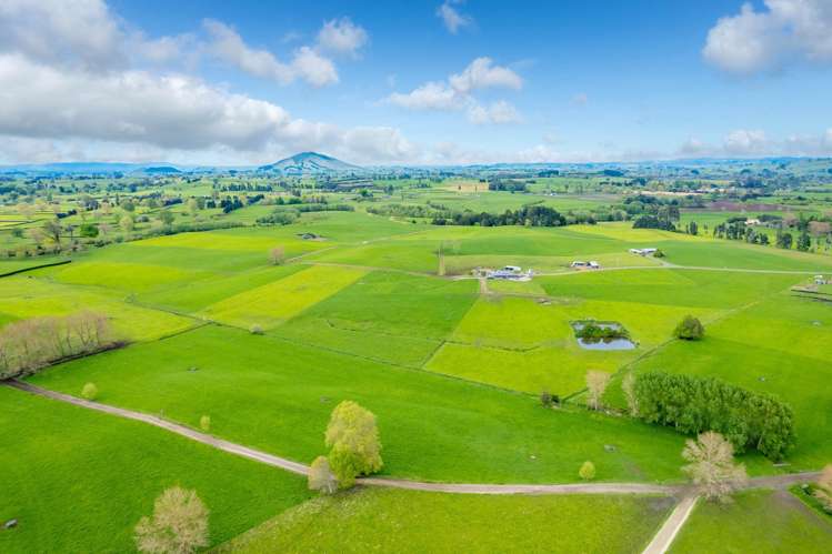 112 Waiari Road Pirongia_14