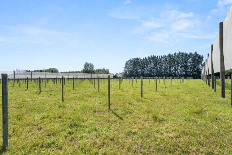 390 Macdonald Road Te Teko_17