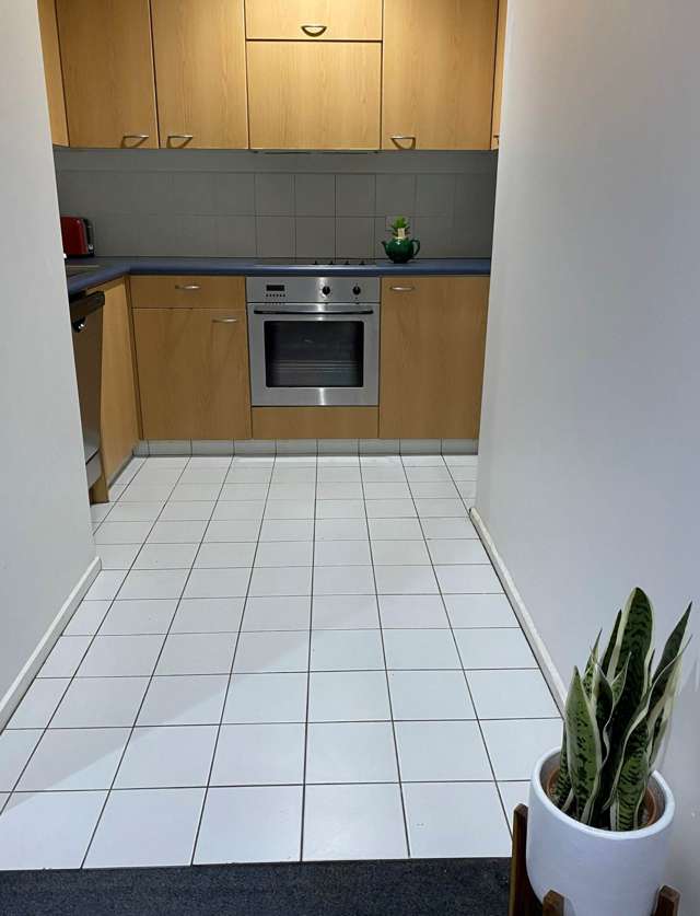 4g/13 Mount Street Auckland Central_3