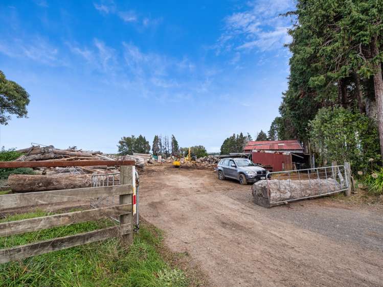 78 Turner Road Whakamarama_14
