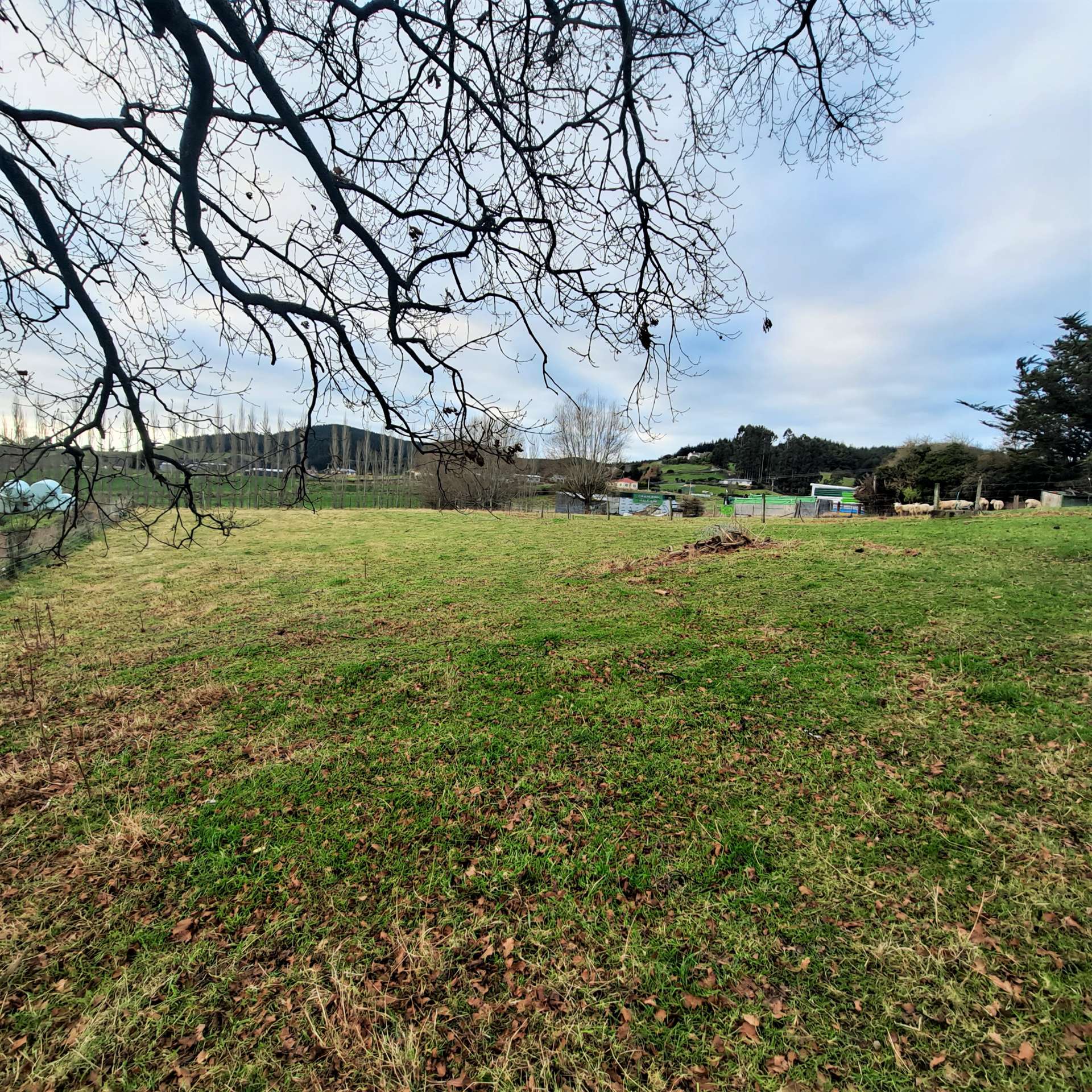 Lot 5 and 6 St Catherine Street Kaitangata_0