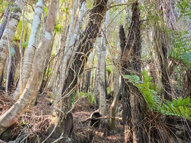 7 Rata Street Stewart Island_4