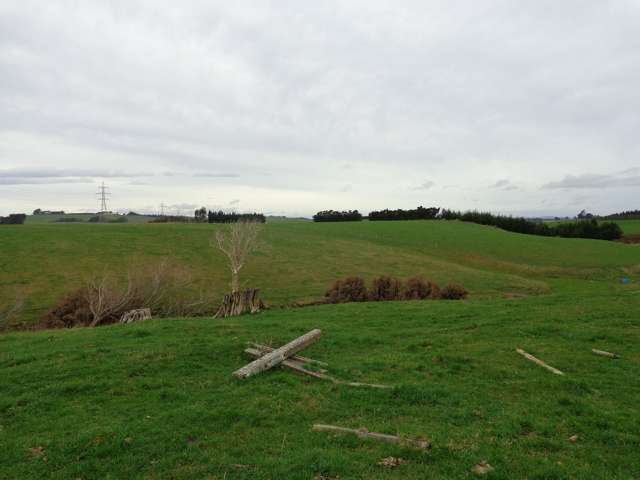 Old Port Road Catlins Surrounds_1