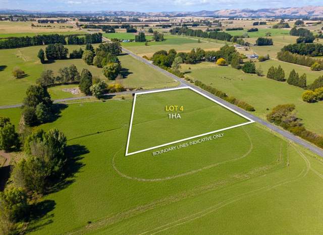 1,3,4/133 Carters Line Carterton_3