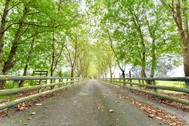 962 State Highway 1 South_2