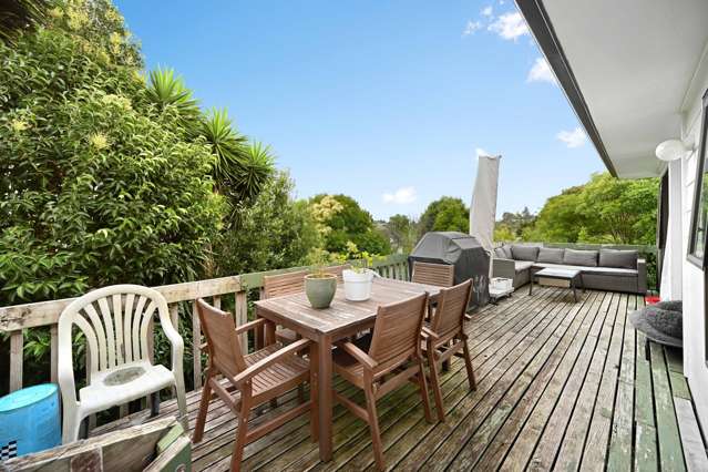 24 Rodney Street Nawton_2