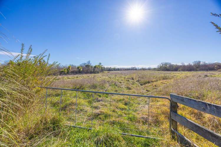 Rotowaro Road_1