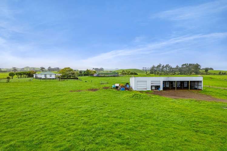 677 Newall Road Newall_20