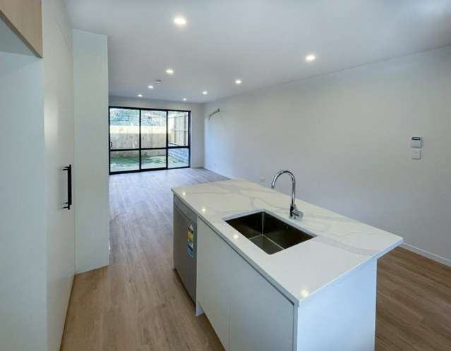 40 Clay Works Lane New Lynn_1