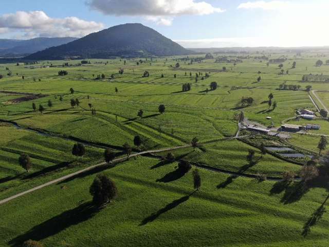 212-222 Municipal Road Kowhitirangi_2