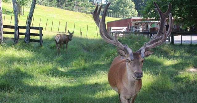 135E(a) McLaren Falls Road Omanawa_4