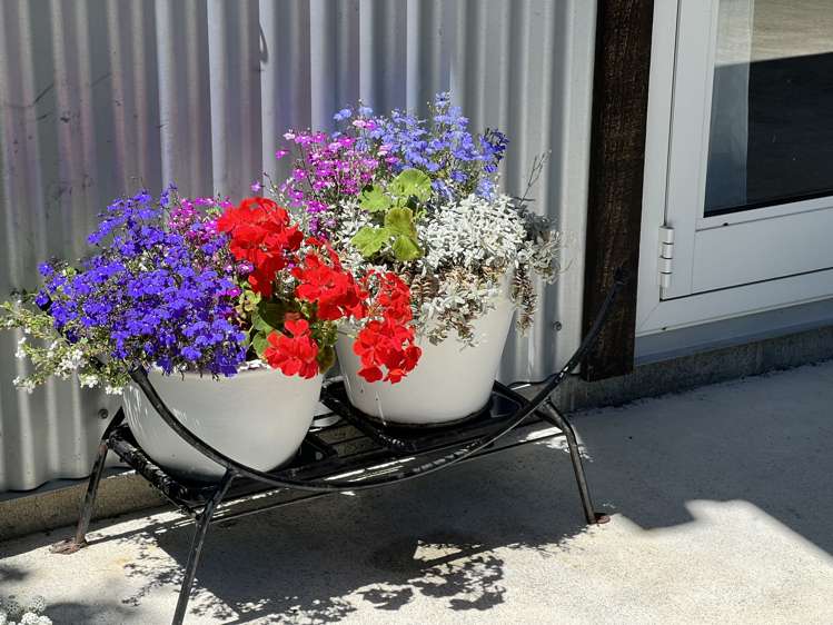 33A Rexwood Street Carterton_11