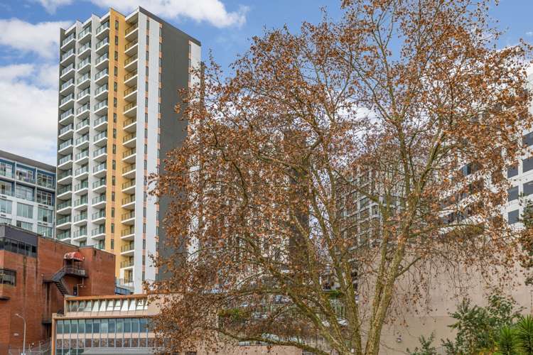 301/79 Airedale Street 10015_15