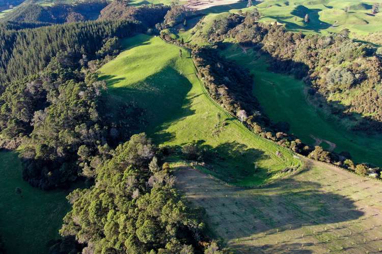 Maniatutu Road Pongakawa_34