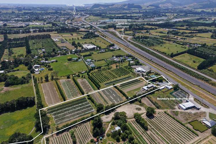 1191-1193 State Highway 1 Te Horo_34