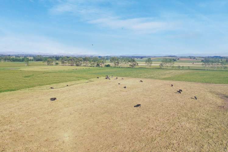 Timaru-Pleasant Point Highway Timaru Surrounds_14