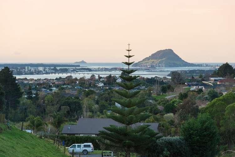 383 Kaitemako Road Welcome Bay_19