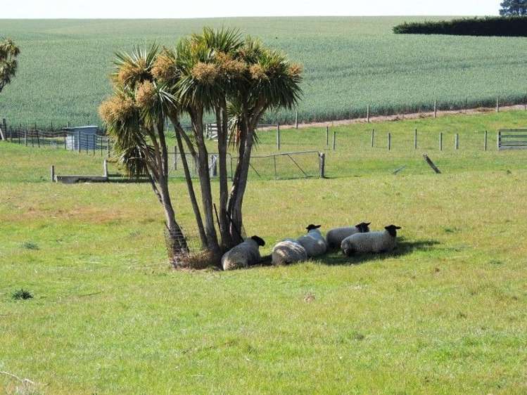 179 Caird Road St Andrews_8