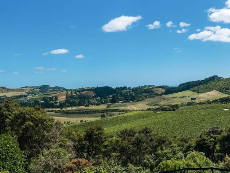 39 Musson Drive Waiheke Island_12