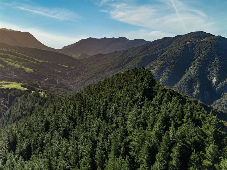 184 Blue Duck Valley Road Seaward Valley_7