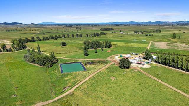 Multiple Purchasing Options for Dairying