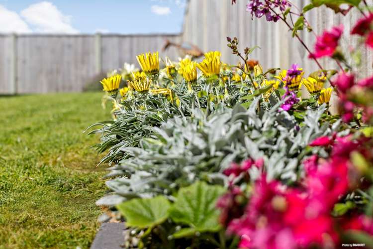 70 Westmuir Crescent Pokeno_10