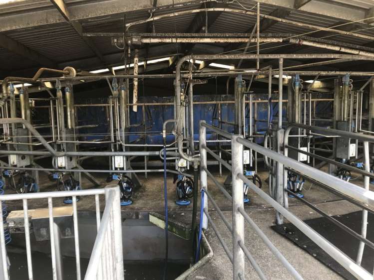 1703 Eltham Road Riverlea_5