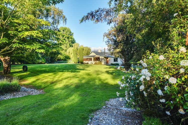 51 Mountain View Road Alexandra_0