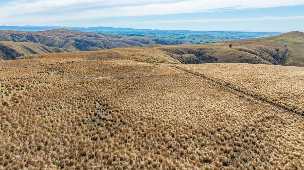 1121 The Dasher Road_4