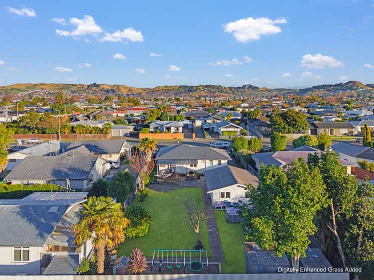 184 Guppy Road Taradale_20