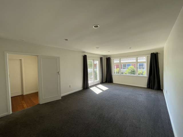 25 Lothian Street Ilam_2