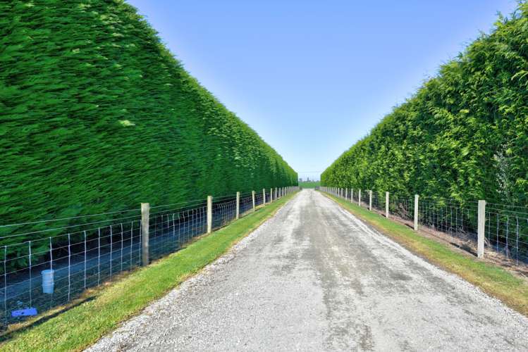 99 Turner Street Edendale_22