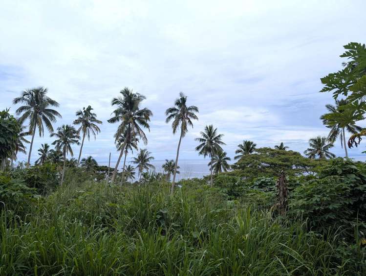 Address withheld Taveuni_5