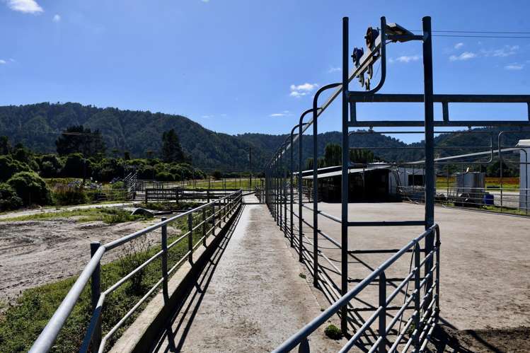 302 Kohaihai Road Karamea_9