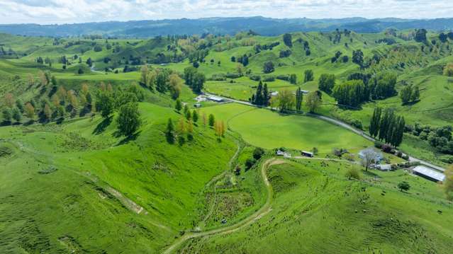 1163 Mangamako Road Ohingaiti_1