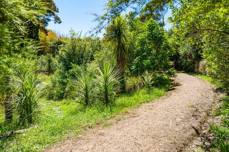 39 Te Aroha Avenue_4