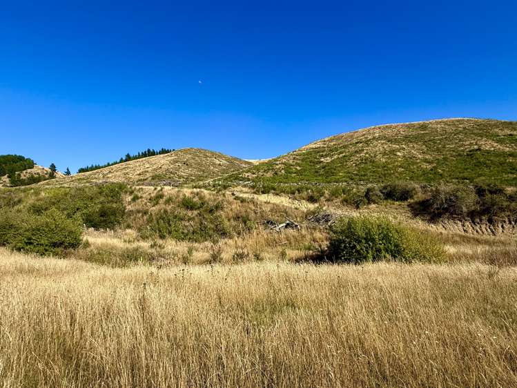 Diggers Gully Road Kurow_25