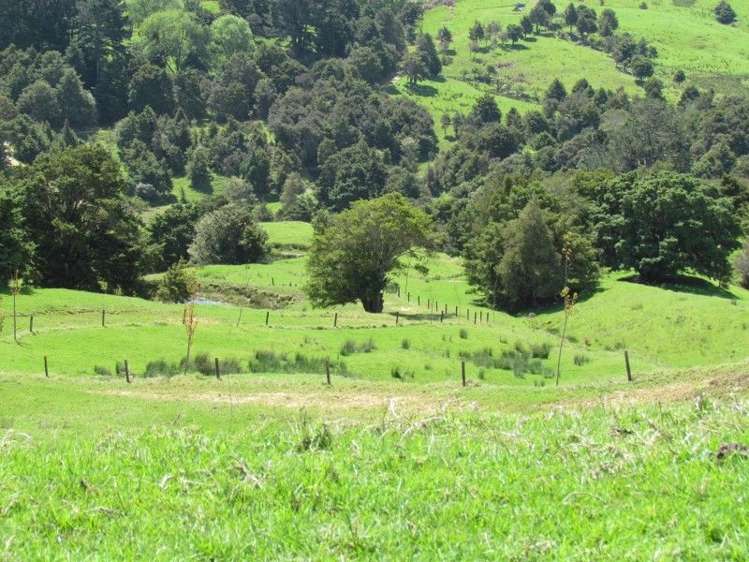 1871 State Highway 14 Mangapai and Surrounds_10