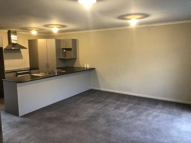 25B Beatty Street 1107_2