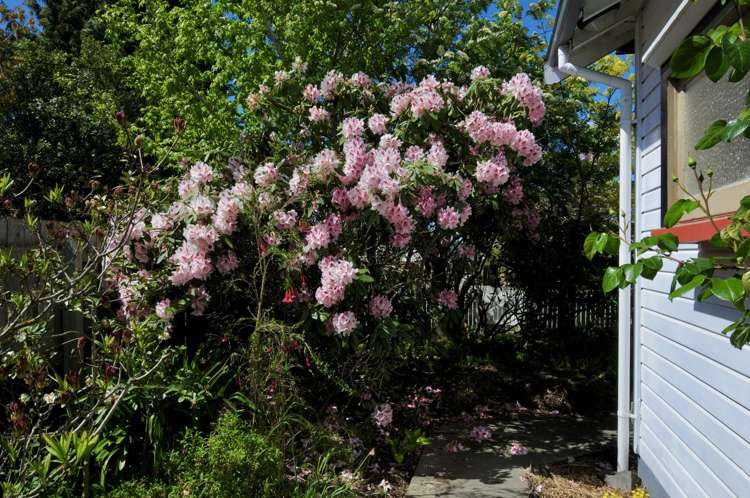 8 Paul Street Waimate_27