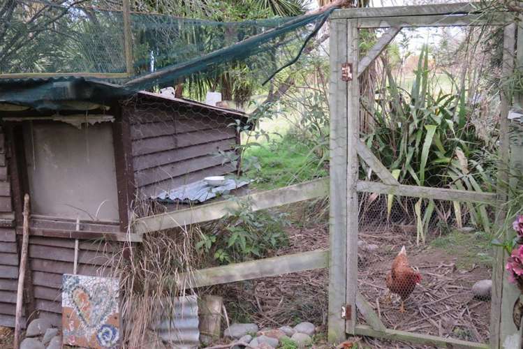 182 Downs Road Geraldine_32