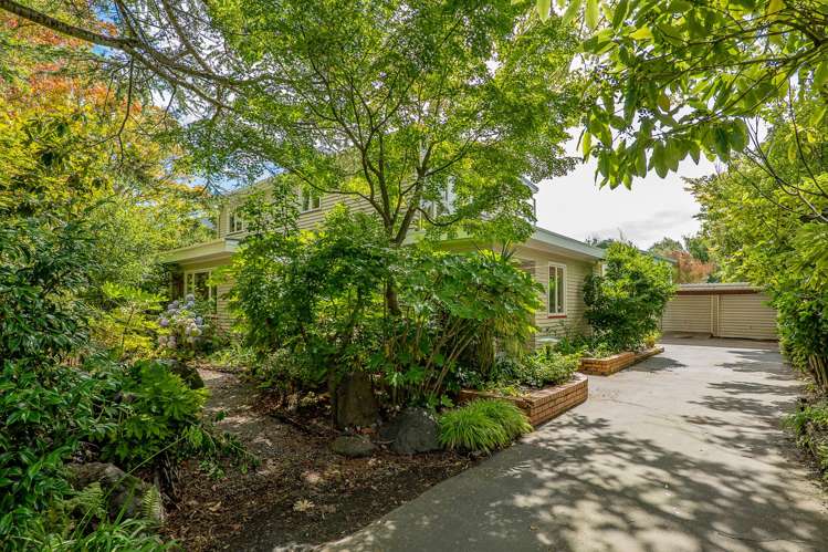 137 Heaton Street Merivale_18