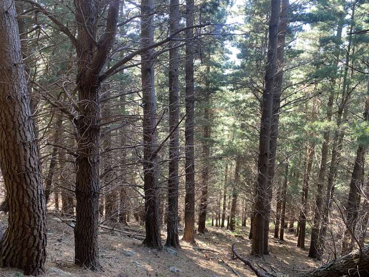 245 Sladdens Bush Road Oxford_15