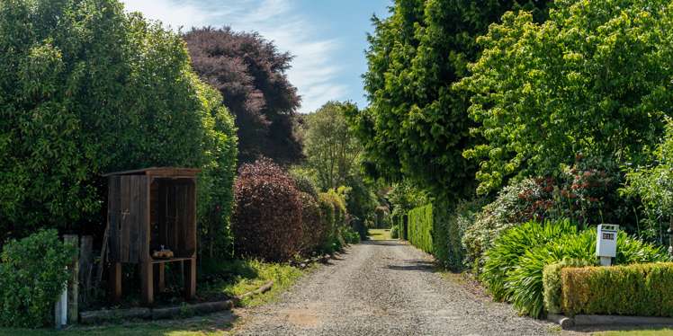 219 Thorp Street Motueka_6