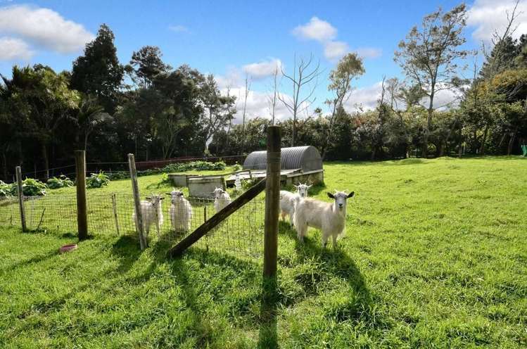 1105a Scenic Drive Swanson_18