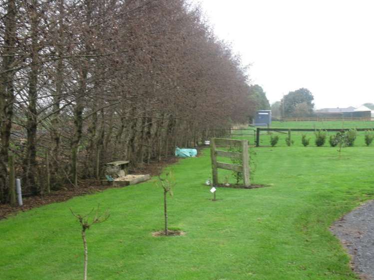 300 Shewan Road Gordonton_6