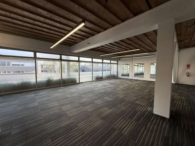 17 Maidstone Place Grey Lynn_4